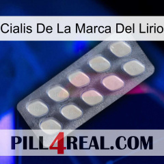 Lily Brand Cialis 08